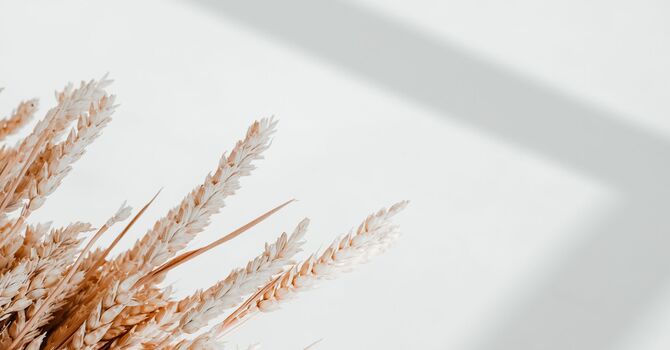 Infrared Sauna Detox Sessions